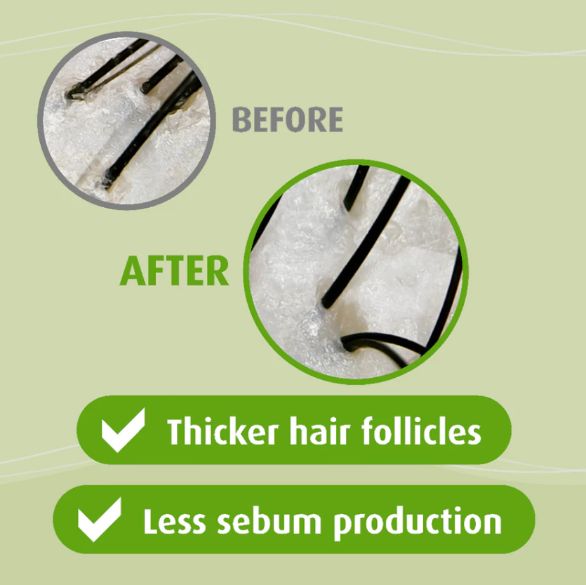 Essentia Detoxifying Shampoo