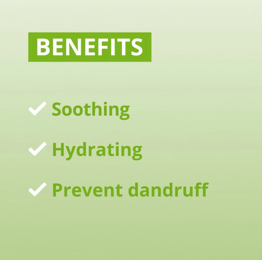 Solutia Purifying Daily Lotion